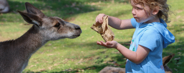 parc animalier en Auvergne.png