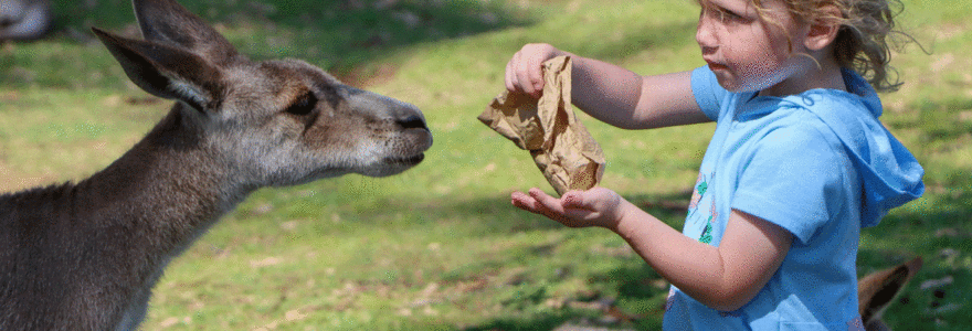 parc animalier en Auvergne.png