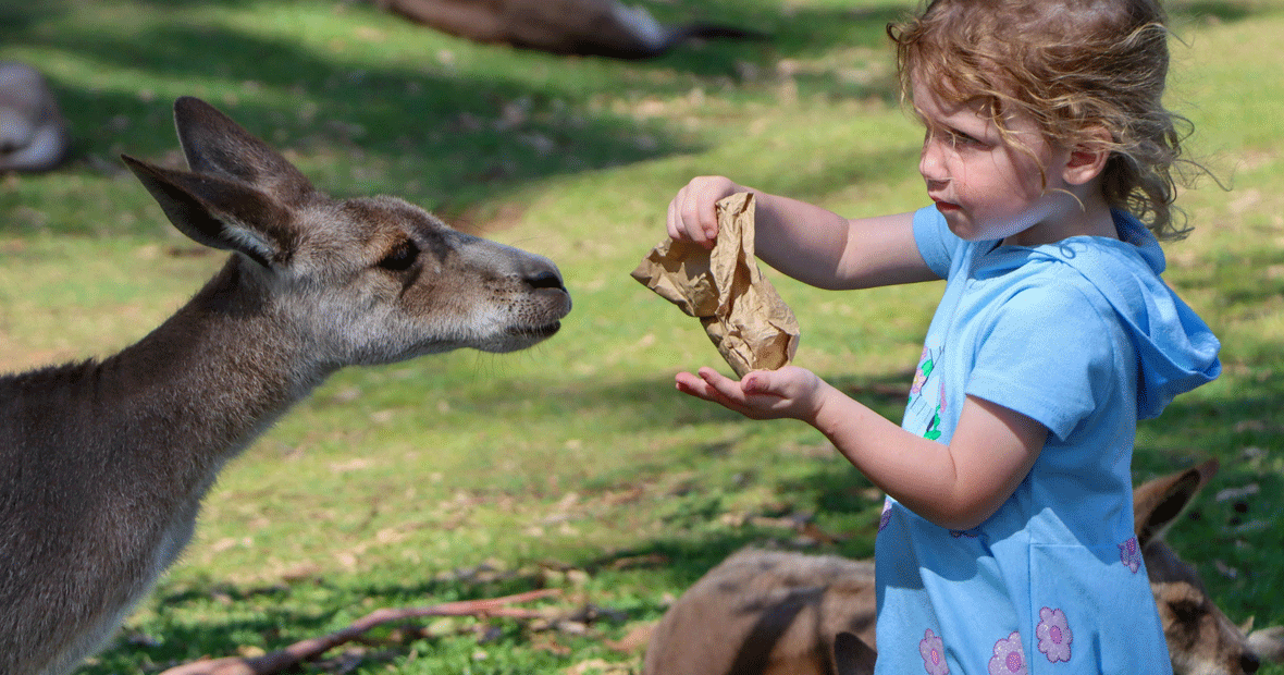 parc animalier en Auvergne.png